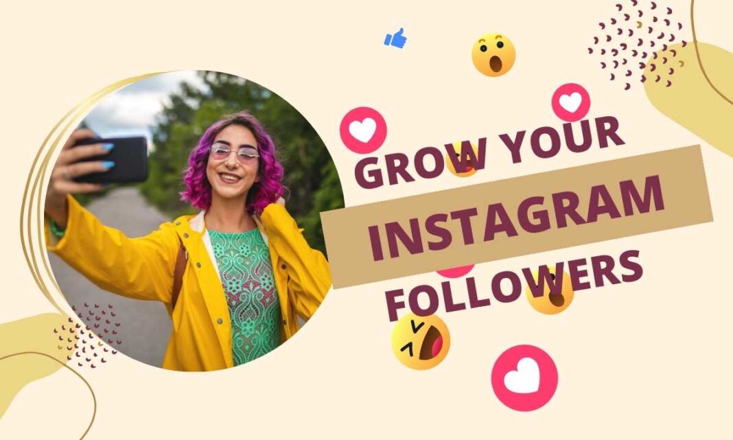 Types Of Instagram Followers On Social Media